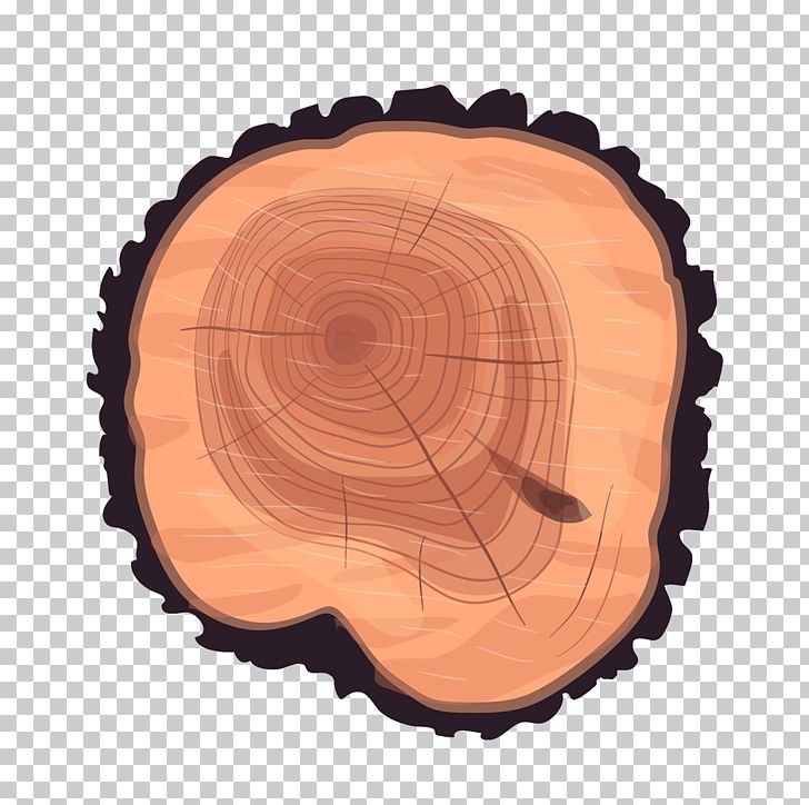 Tree Stump Trunk Wood PNG, Clipart, Aastarxf5ngad, Christmas Tree, Circle, Coconut Tree, Drawing Free PNG Download