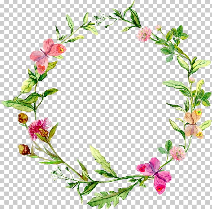 Watercolor Painting Herb Stock Photography PNG, Clipart, Blossom, Branch, Circle, Cut Flowers, Flora Free PNG Download