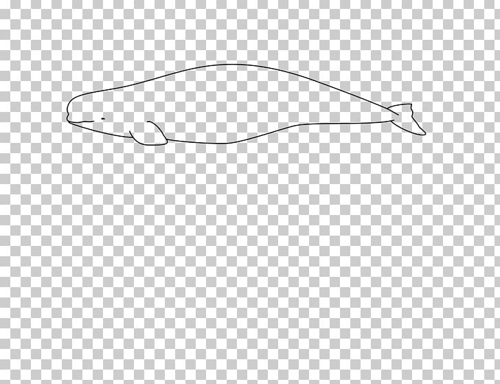 Beluga Whale Arctic Der Weisswal: Delphinapterus Leucas Cetacea Narwhal PNG, Clipart, Angle, Arctic, Beluga, Beluga Whale, Black Free PNG Download