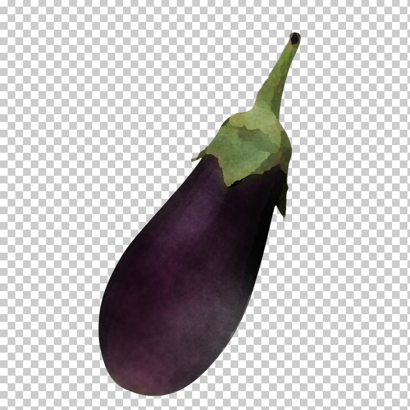Eggplant Purple Vegetable Violet Leaf PNG, Clipart, Eggplant, Leaf, Plant, Purple, Vegetable Free PNG Download