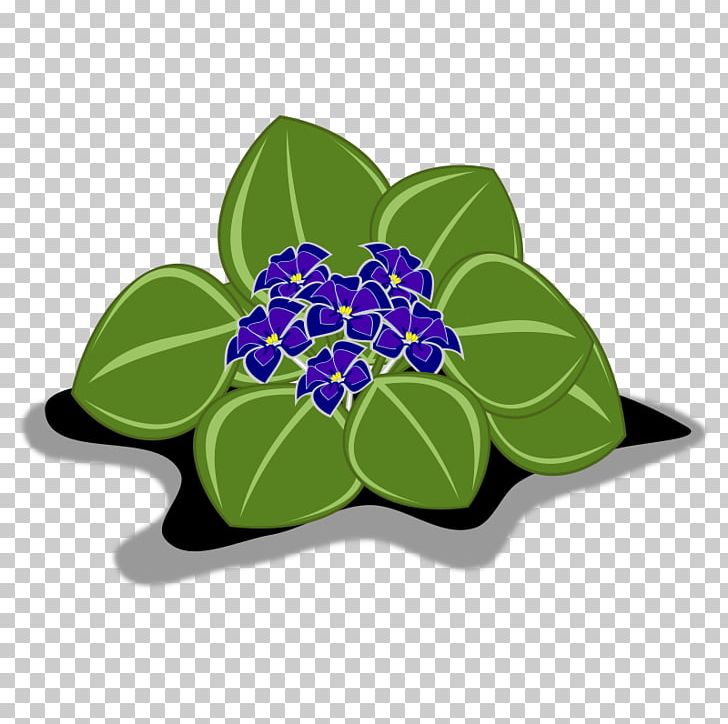 African Violets PNG, Clipart, African Violets, Flora, Floral Design, Flower, Flowering Plant Free PNG Download