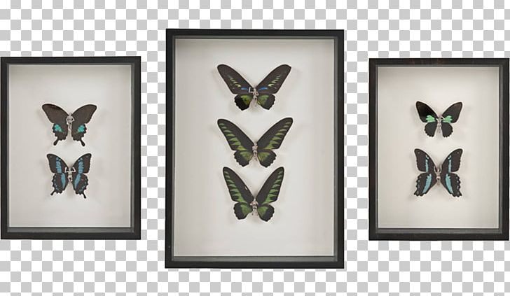 Butterfly Mockup Insect Stencil PNG, Clipart, Art, Butterflies And Moths, Butterfly, Design Tool, Fairy Free PNG Download