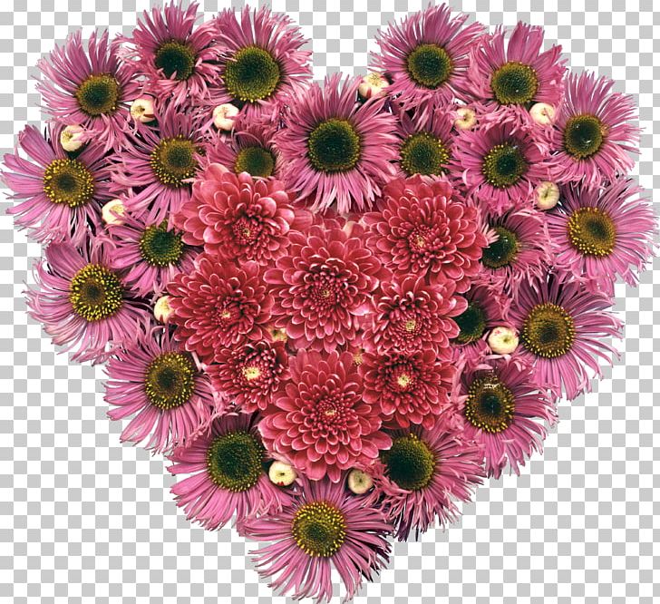 Animaatio Animated Film Blog PNG, Clipart, Animated Film, Annual Plant, Aster, Blog, Daisy Family Free PNG Download
