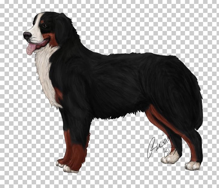 Dog Breed Bernese Mountain Dog Greater Swiss Mountain Dog Entlebucher Mountain Dog Appenzeller Sennenhund PNG, Clipart, Appenzeller Sennenhund, Bernese Mountain Dog, Breed, Carnivoran, Companion Dog Free PNG Download