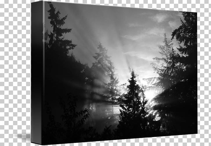 Frames Gallery Wrap Light Canvas Desktop PNG, Clipart, Automotive Lighting, Black And White, Canvas, Computer, Computer Wallpaper Free PNG Download