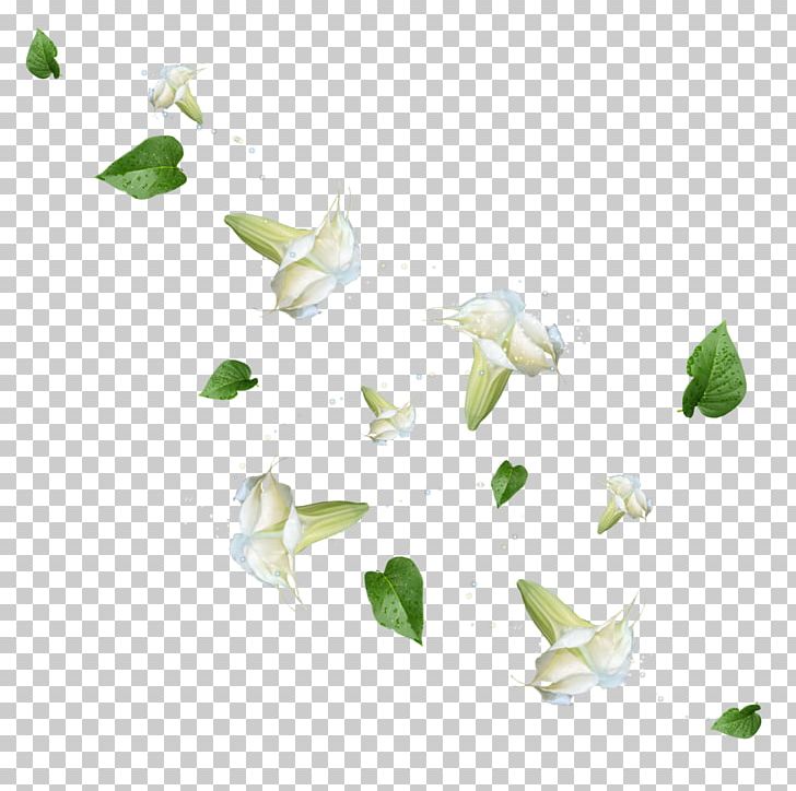 Flower Leaf Petal PNG, Clipart, Angle, Blume, Button, Download, Falling Free PNG Download