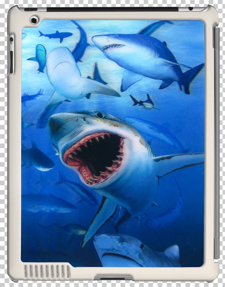 Great White Shark IPad 3 IPad 2 Tiger Shark Lenticular Printing PNG, Clipart, Animals, Carcharhiniformes, Cartilaginous Fish, Electric Blue, Fish Free PNG Download