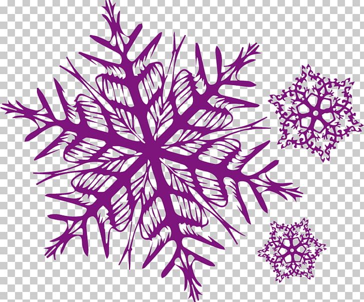 Petal Visual Arts Snowflake Pattern PNG, Clipart, Art, Circle, Flower, Flowering Plant, Leaf Free PNG Download