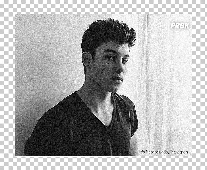 Shawn Mendes Fan Fiction Illuminate Pickering Aftertaste PNG, Clipart, Aaliyah Mendes, Aftertaste, Bad Reputation, Black And White, Book Free PNG Download