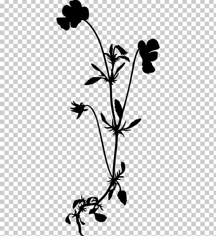 Wildflower Drawing Silhouette PNG, Clipart, Animals, Artwork, Black And White, Branch, Bunch Free PNG Download