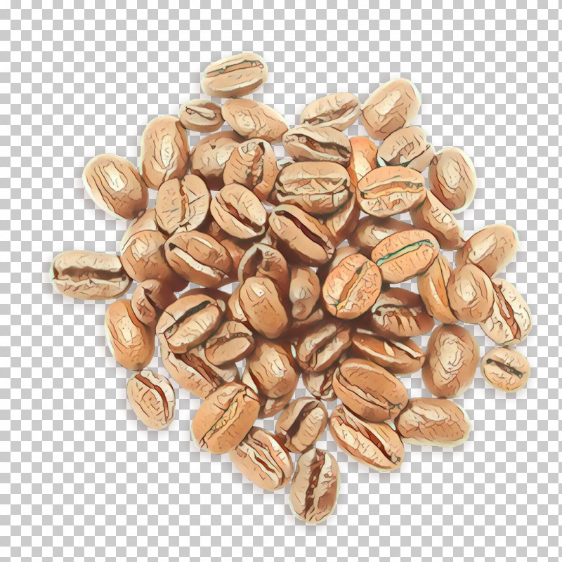 Food Seed Nuts & Seeds Plant Sunflower Seed PNG, Clipart, Food, Nut, Nuts Seeds, Plant, Seed Free PNG Download