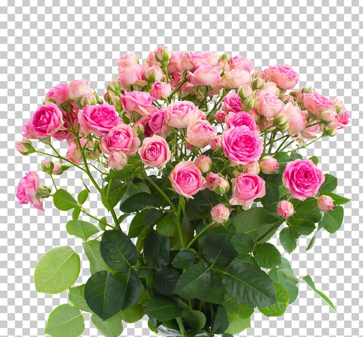 Flower Rose Pink PNG, Clipart, Annual Plant, Artificial Flower, Fig, Floral Design, Floribunda Free PNG Download