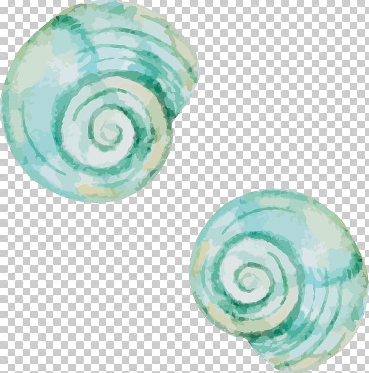 Mollusc Shell Seashell Snail PNG, Clipart, Aqua, Cartoon, Chinese White Shrimp, Encapsulated Postscript, Green Apple Free PNG Download
