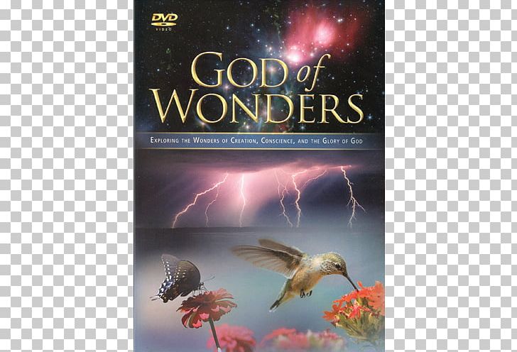 God Of Wonders DVD Glory Film PNG, Clipart, Advertising, Creator Deity, Dvd, Film, Glory Free PNG Download