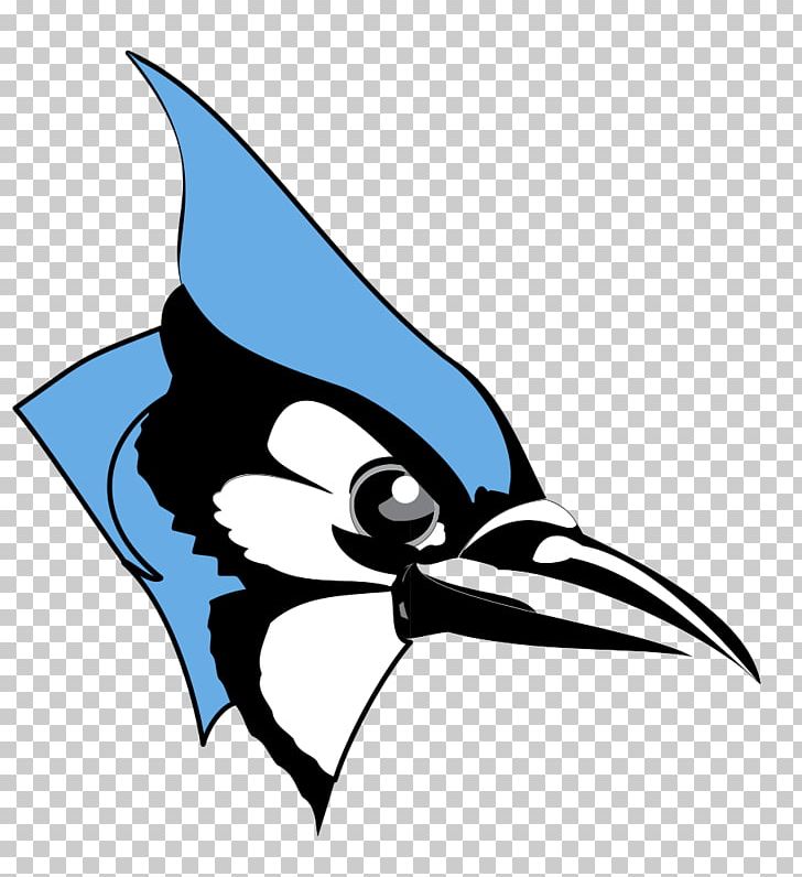 Johns Hopkins University Johns Hopkins Blue Jays Men's Lacrosse Johns Hopkins Blue Jays Women's Lacrosse Centennial Conference College PNG, Clipart, Artwork, Beak, Bird, Black And White, Centennial Conference Free PNG Download