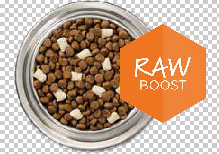 Dog Cat Food Raw Foodism Pet Food PNG, Clipart,  Free PNG Download