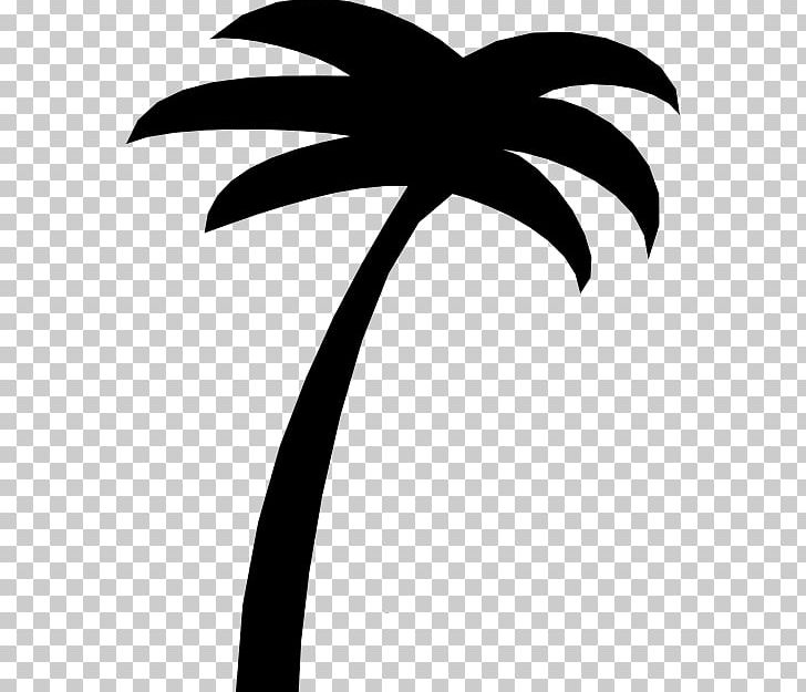 Sabal Palm Arecaceae Tree PNG, Clipart, Arecaceae, Arecales, Black And White, Branch, Calm Free PNG Download