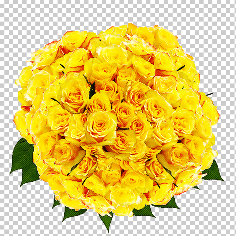 Garden Roses PNG, Clipart, Cut Flowers, Floral Design, Floribunda, Flower, Flower Bouquet Free PNG Download