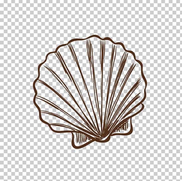 Seashell Drawing Illustration PNG, Clipart, 16 Material Net, Art, Beach, Brown, Cartoon Free PNG Download