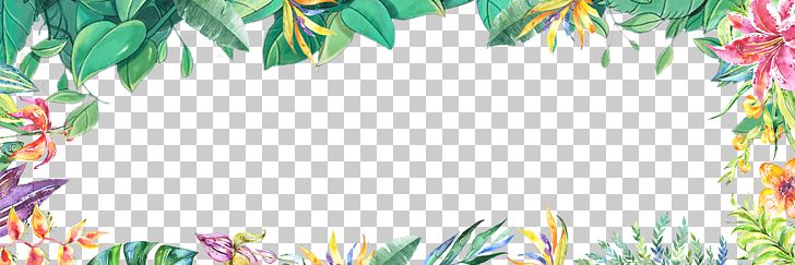 Summer Fresh Hand Painted Plant Borders PNG, Clipart, Border, Border Frame, Border Texture, Branch, Certificate Border Free PNG Download