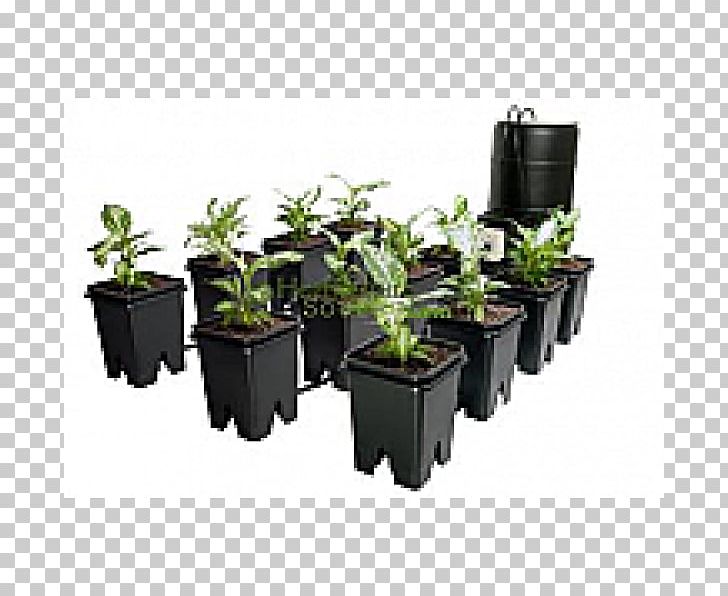 Ebb And Flow Hydroponics Gallon Grow Light Plant PNG, Clipart, Business, Ebb And Flow, Energy, Flowerpot, Gallon Free PNG Download