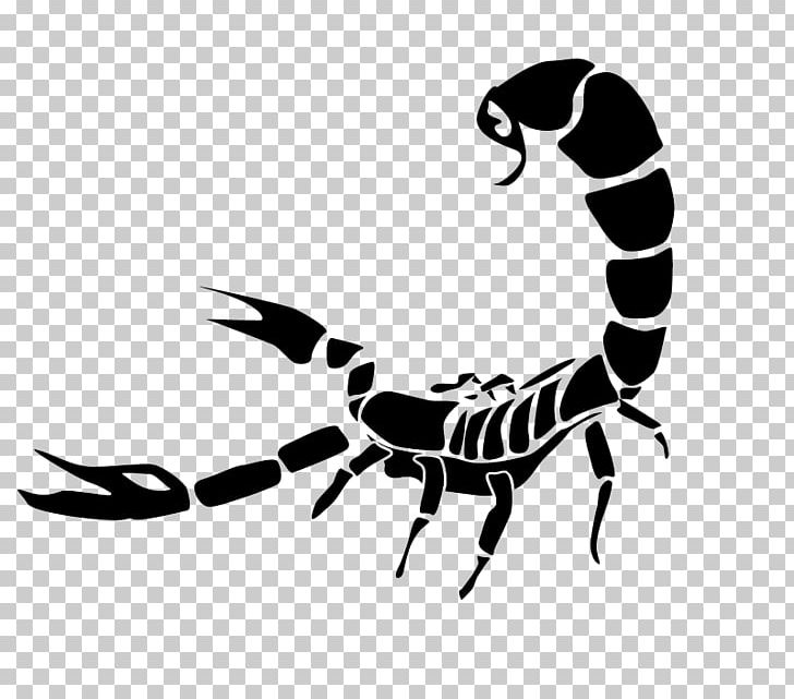 Scorpio PNG, Clipart, Arachnid, Arthropod, Astrological Sign, Astrology, Black And White Free PNG Download