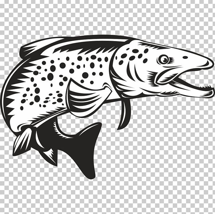 Brook Trout Sea Trout PNG, Clipart, Black, Black And White, Brook Trout, Brown Trout, Carnivoran Free PNG Download