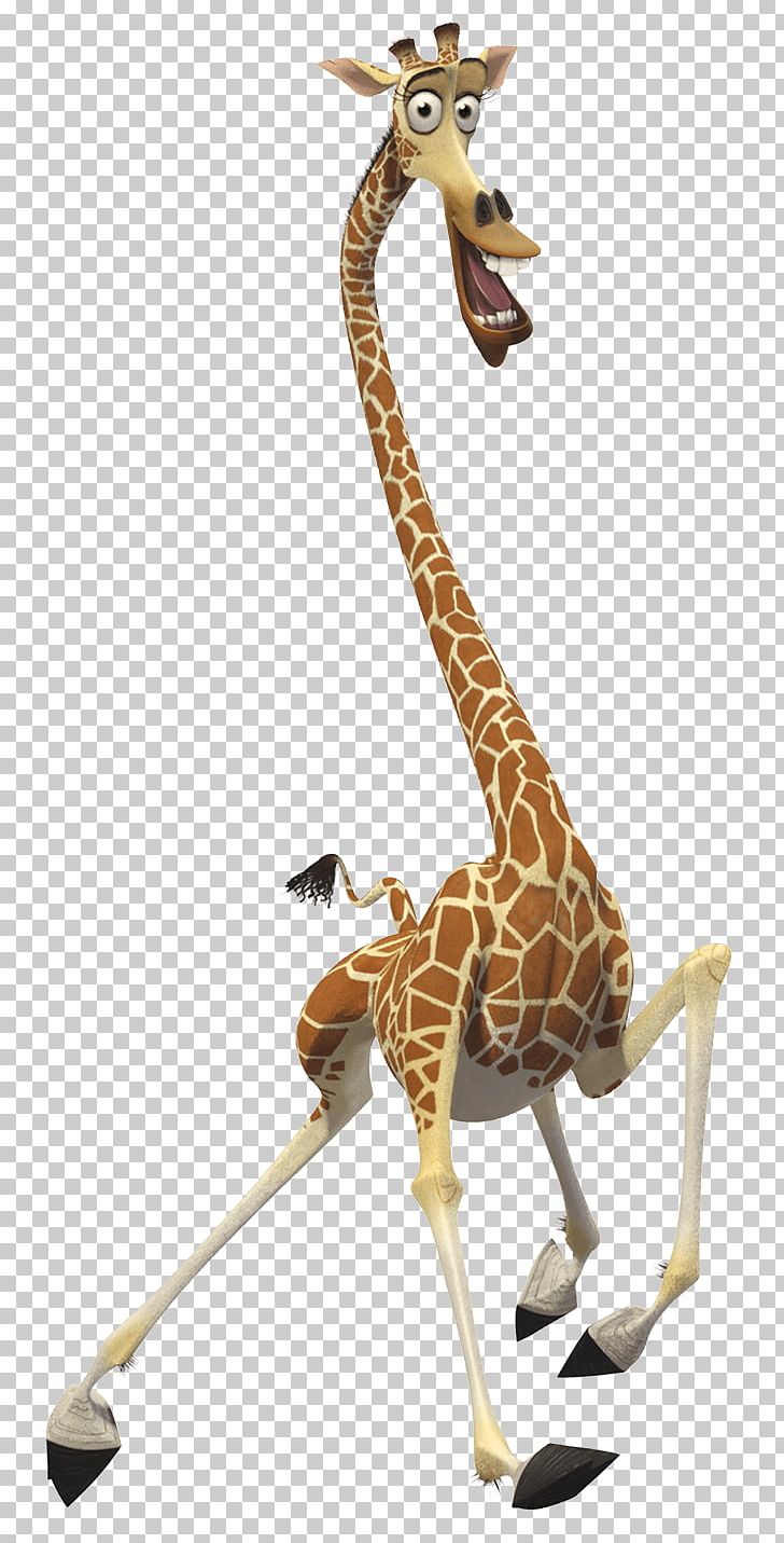 Melman Alex Gloria Princess Fiona Donkey PNG, Clipart, Animal Figure, Animals, Animation, Character, Drawing Free PNG Download
