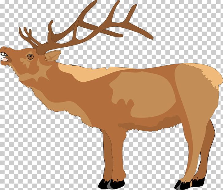 Rudolph Santa Clauss Reindeer PNG, Clipart, Antler, Blog, Cattle Like Mammal, Christmas, Christmas Tree Free PNG Download