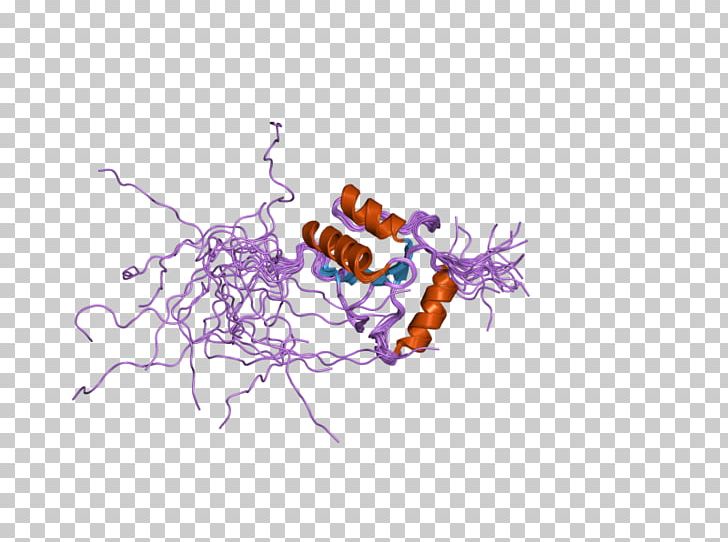 Terminal Deoxynucleotidyl Transferase Nucleotidyltransferase DNA Enzyme PNG, Clipart, Art, Calf, Cell Nucleus, Chemistry, Coe Free PNG Download