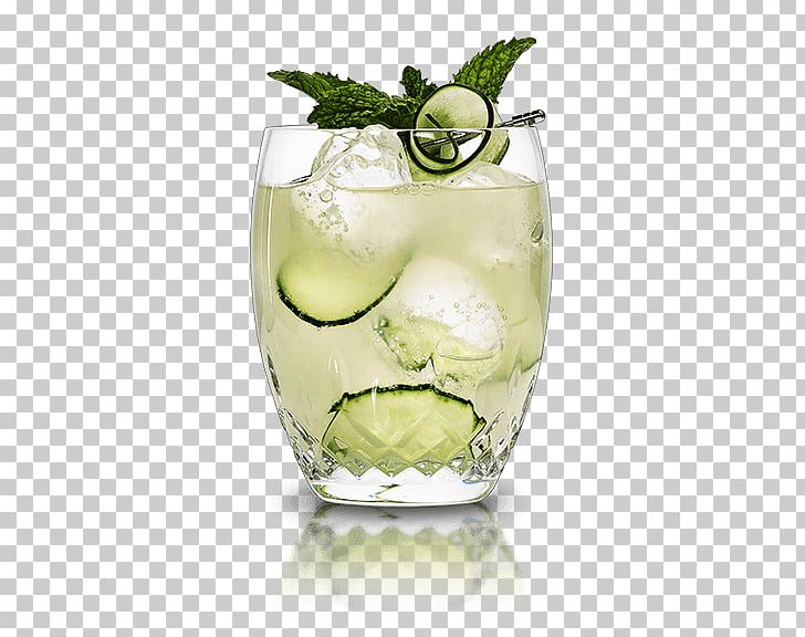 Gin And Tonic Tonic Water Cocktail Cointreau PNG, Clipart, Alcoholic Drink, Caipirinha, Caipiroska, Cocktail, Cocktail Garnish Free PNG Download