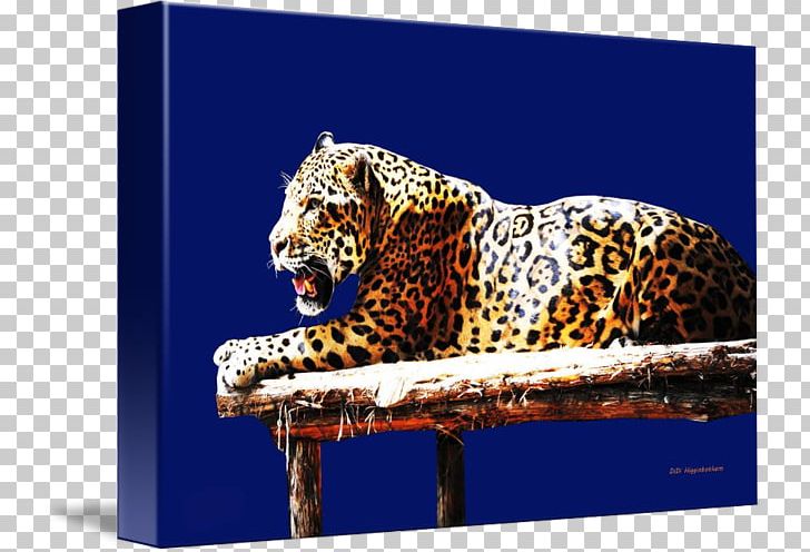 Leopard Jaguar God Tiger Wildlife PNG, Clipart, Animal, Animals, Art, Big Cats, Canvas Print Free PNG Download