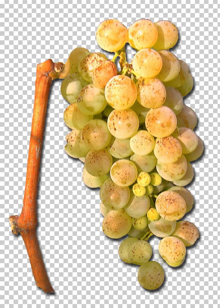 Sultana Seedless Fruit Grape Natural Foods Superfood PNG, Clipart, Food, Fruit, Fruit Nut, Grape, Grapevine Family Free PNG Download