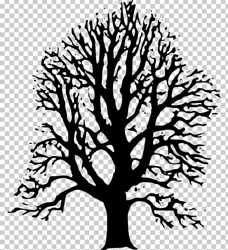 Tree PNG, Clipart, Art, Black And White, Black Trees Cliparts, Branch, Drawing Free PNG Download