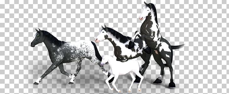 Mustang Thoroughbred Arabian Horse Stallion PNG, Clipart, Black And White, Bridle, Cheval, Download, Fleur Free PNG Download