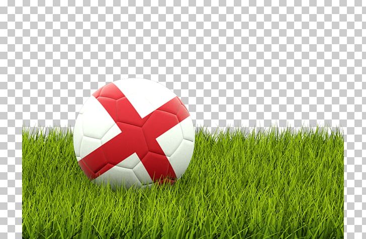 Arabian Gulf Cup Pakistan Football Federation Albania National Football Team FIFA World Cup Nottingham Forest F.C. PNG, Clipart, Artificial Turf, Computer Wallpaper, Fifa World Cup, Footbal, Football Association Free PNG Download