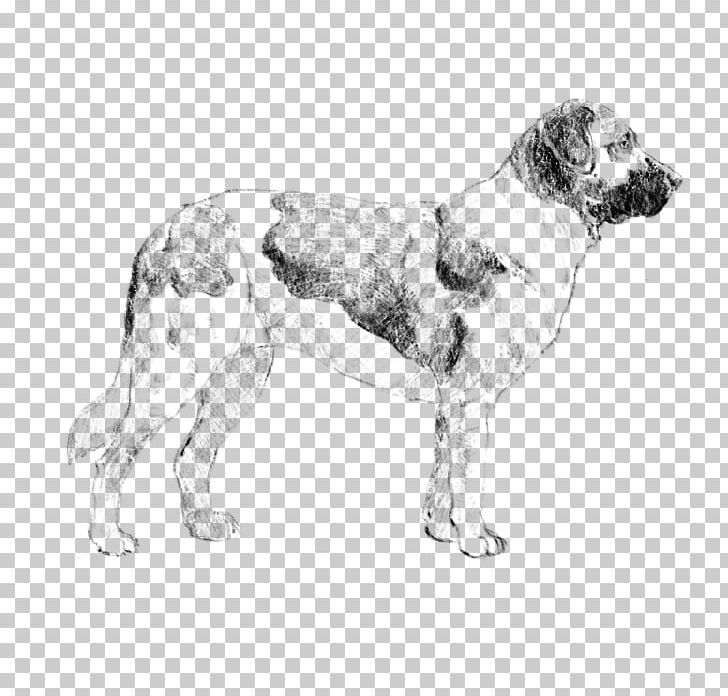 English Setter Dog Breed Spaniel Sporting Group PNG, Clipart, Breed, Carnivoran, Crossbreed, Dog, Dog Breed Free PNG Download