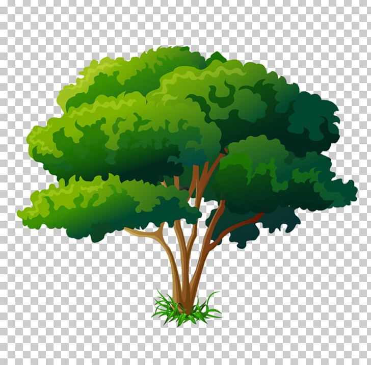 Drawing Tree PNG, Clipart, Drawing, Encapsulated Postscript, Grass, Green, Leaf Free PNG Download