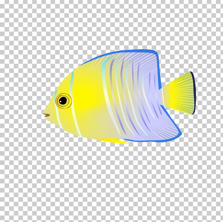 Fish PNG, Clipart, Adobe Illustrator, Animal, Aquarium Fish, Download, Drawing Free PNG Download