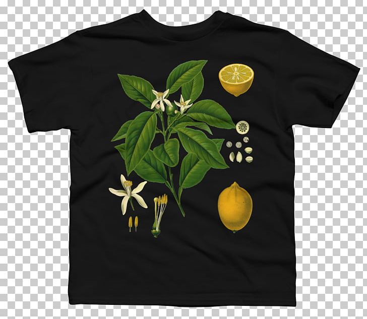 Long-sleeved T-shirt Hoodie Top PNG, Clipart, Botanical, Botanical Illustration, Botany, Brand, Clothing Free PNG Download
