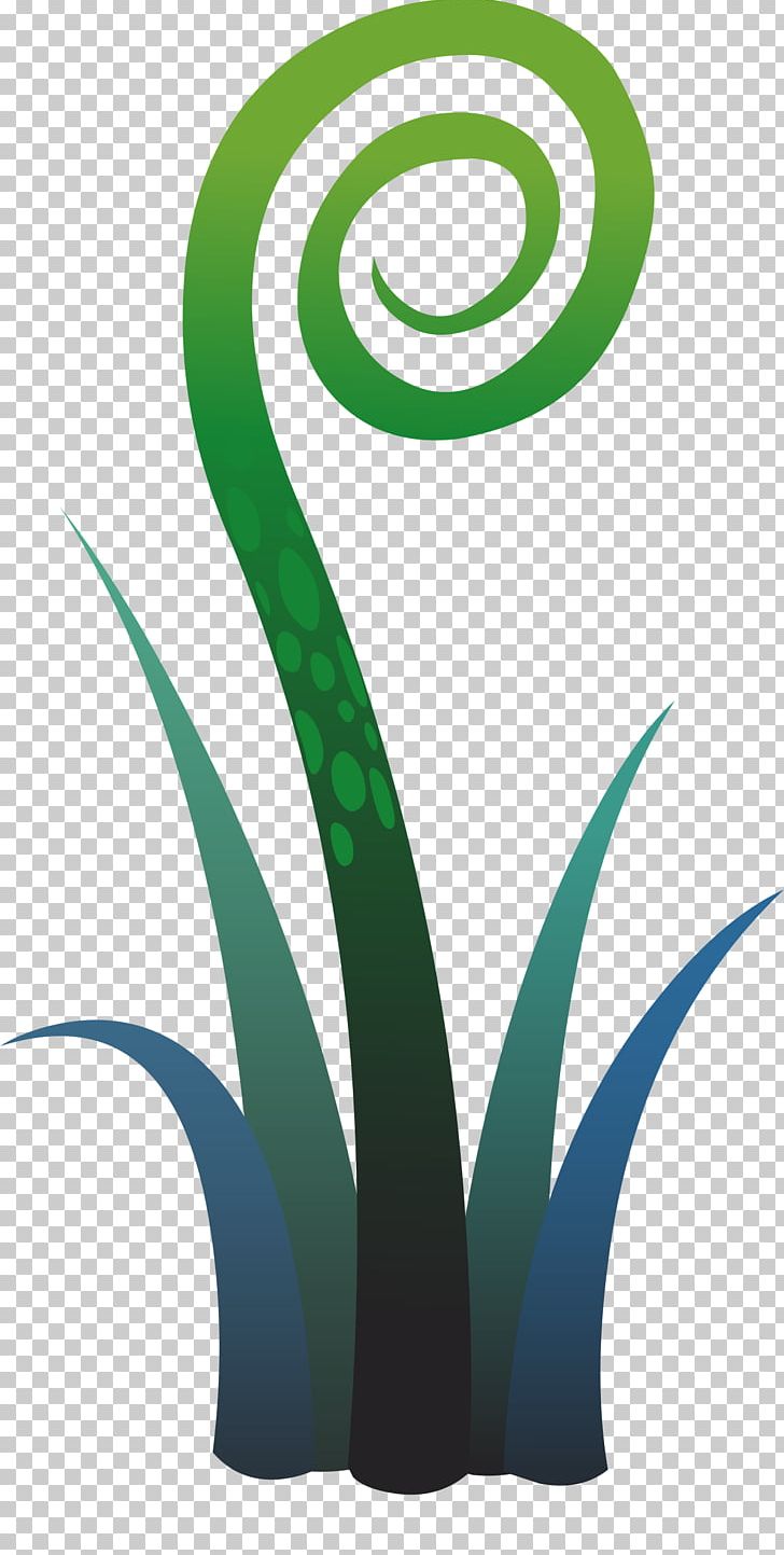Plant Fern Leaf PNG, Clipart, Fern, Flower, Food Drinks, Graphic Design, Grass Free PNG Download