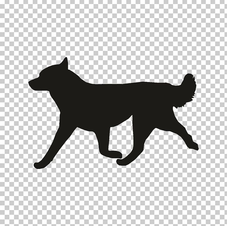 Whiskers Dog Breed Cat Red Fox PNG, Clipart, Animals, Black, Black M, Carnivoran, Cat Like Mammal Free PNG Download