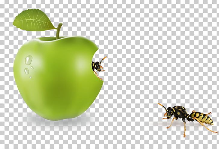 Apple Computer File PNG, Clipart, Animals, Apple, Bee, Computer Wallpaper, Cute Insects Free PNG Download