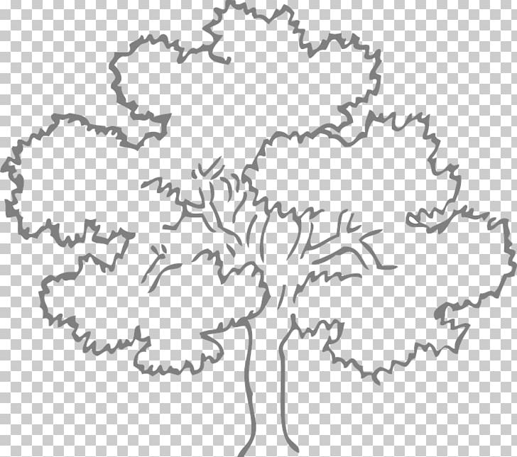 Oak Tree Drawing Coloring Book PNG, Clipart, Area, Arecaceae, Banyan, Black And White, Branch Free PNG Download