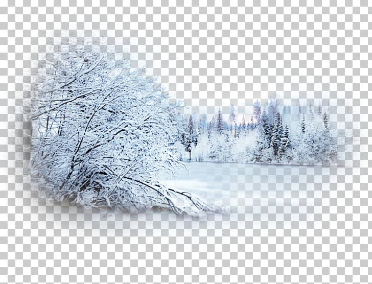 Snow Winter Blizzard Desktop Landscape PNG, Clipart, 520 F, Blizzard, Blog, Branch, Centerblog Free PNG Download