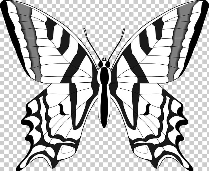 Butterfly Black And White PNG, Clipart, Arthropod, Artwork, Black, Black Butterfly, Brush Footed Butterfly Free PNG Download