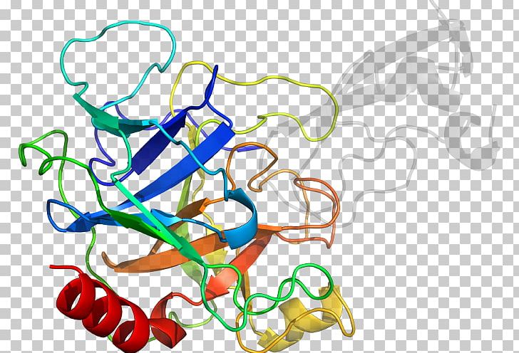 Graphic Design Line PNG, Clipart, Area, Art, Artwork, Bovine Pancreatic Ribonuclease, Graphic Design Free PNG Download