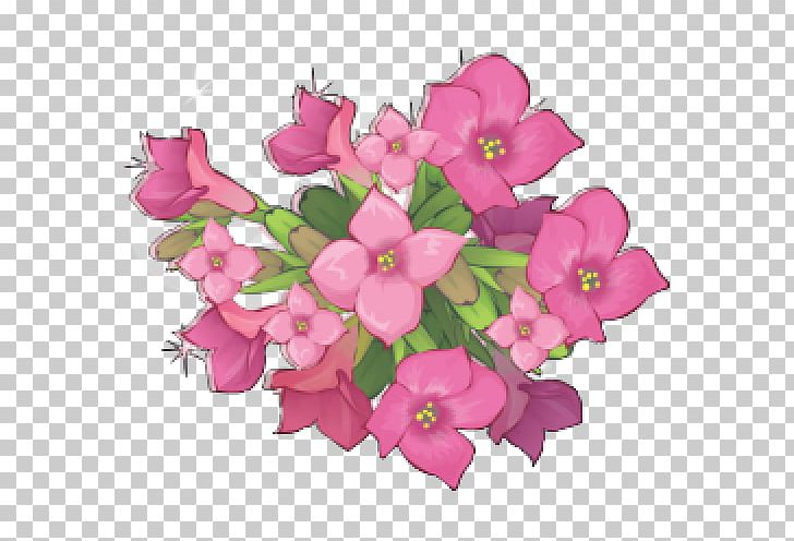 Medicinal Plants Flowering Plant Florist Kalanchoe PNG, Clipart,  Free PNG Download