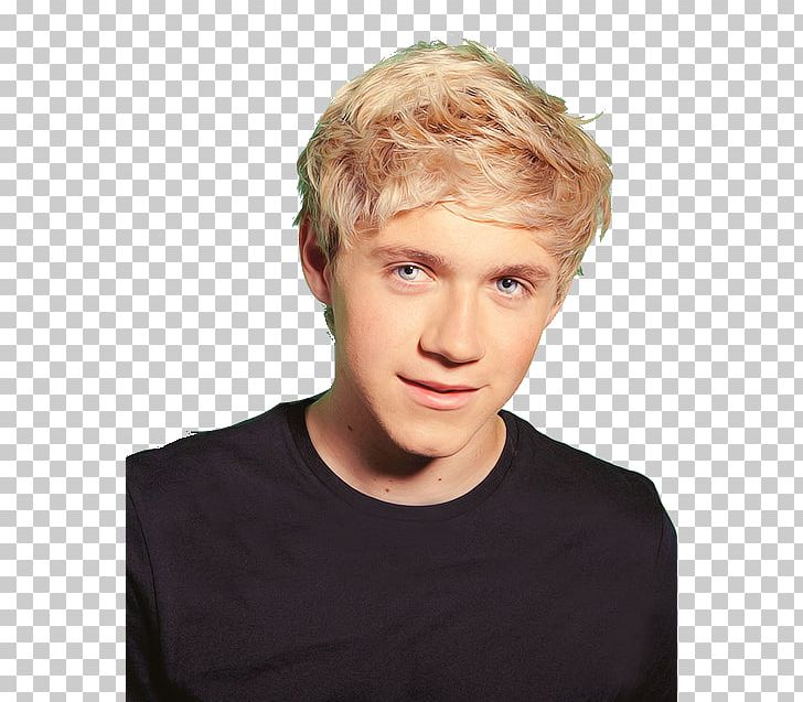Niall Horan One Direction Crying Blond Sadness PNG, Clipart, Blond, Boy, Brown Hair, Cheek, Chin Free PNG Download