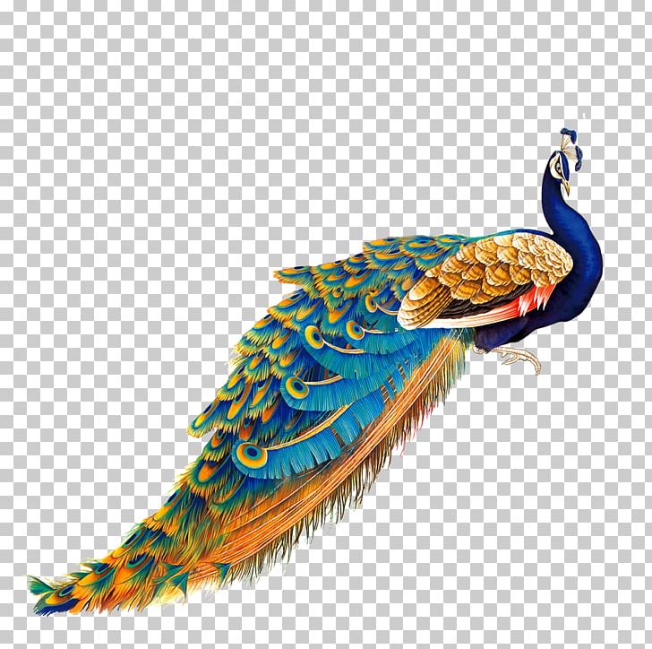 Bird Peafowl Painting PNG, Clipart, Advertising, Animals, Art, Beak, Bird Free PNG Download